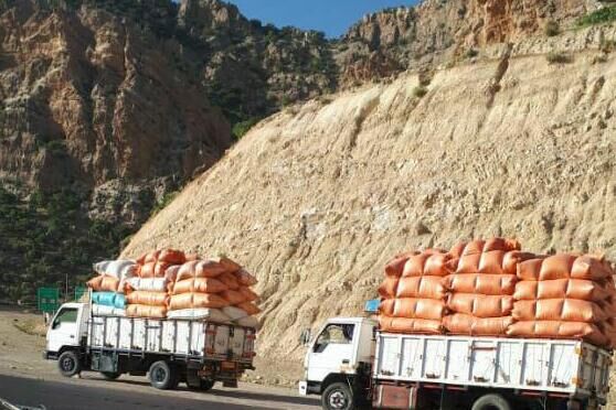 صادرات «کاه» به جای «آخال حبوبات» با مجوز گمرک!