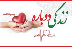پایان زندگی بخش ؛ با اهدا عضو مادر زنجانی
