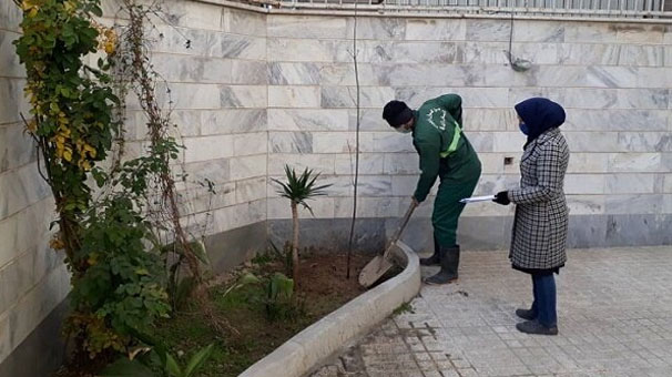 کاشت 2 هزار نهال، حکم سبز قاضی ارومیه ای