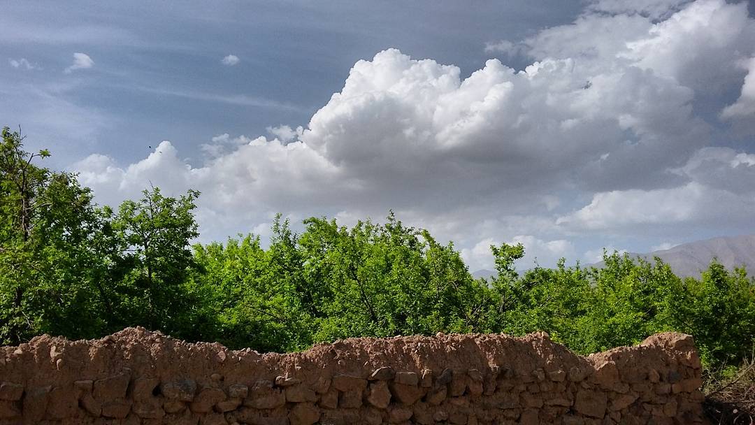 غبار رقیق در آسمان فارس