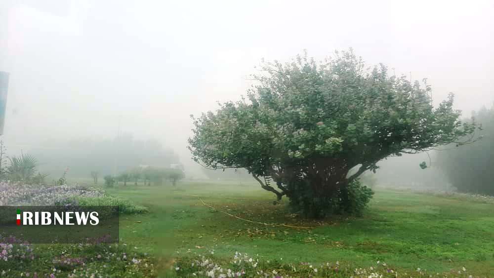 کاهش دید افقی ناشی از مه صبحگاهی در کیش