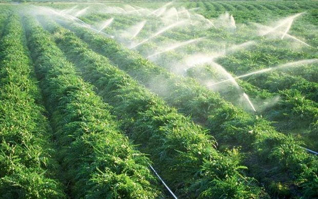 ضرورت تکمیل ایستگاههای پمپاژ آب در ایلام