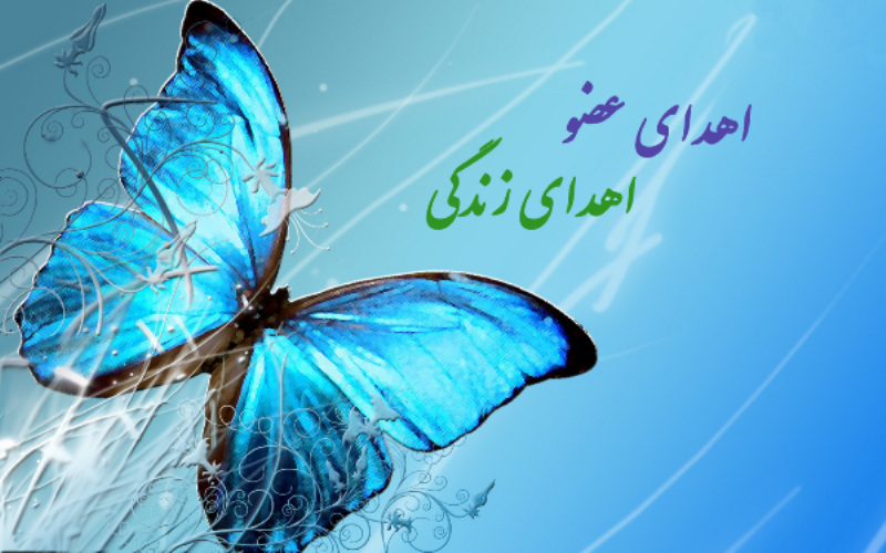 اهدای عضو مرد ۶۷ ساله لامردی