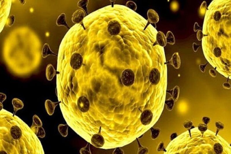 ابتلای ۳ نفر به کرونا در چهارمحال و بختیاری
