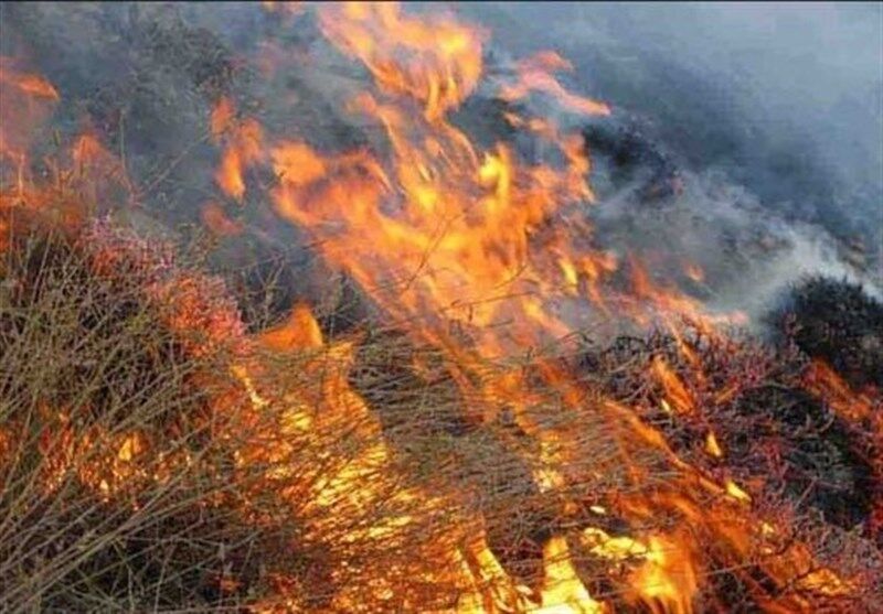 زنگ هشدار آتش سوزی مراتع در کازرون