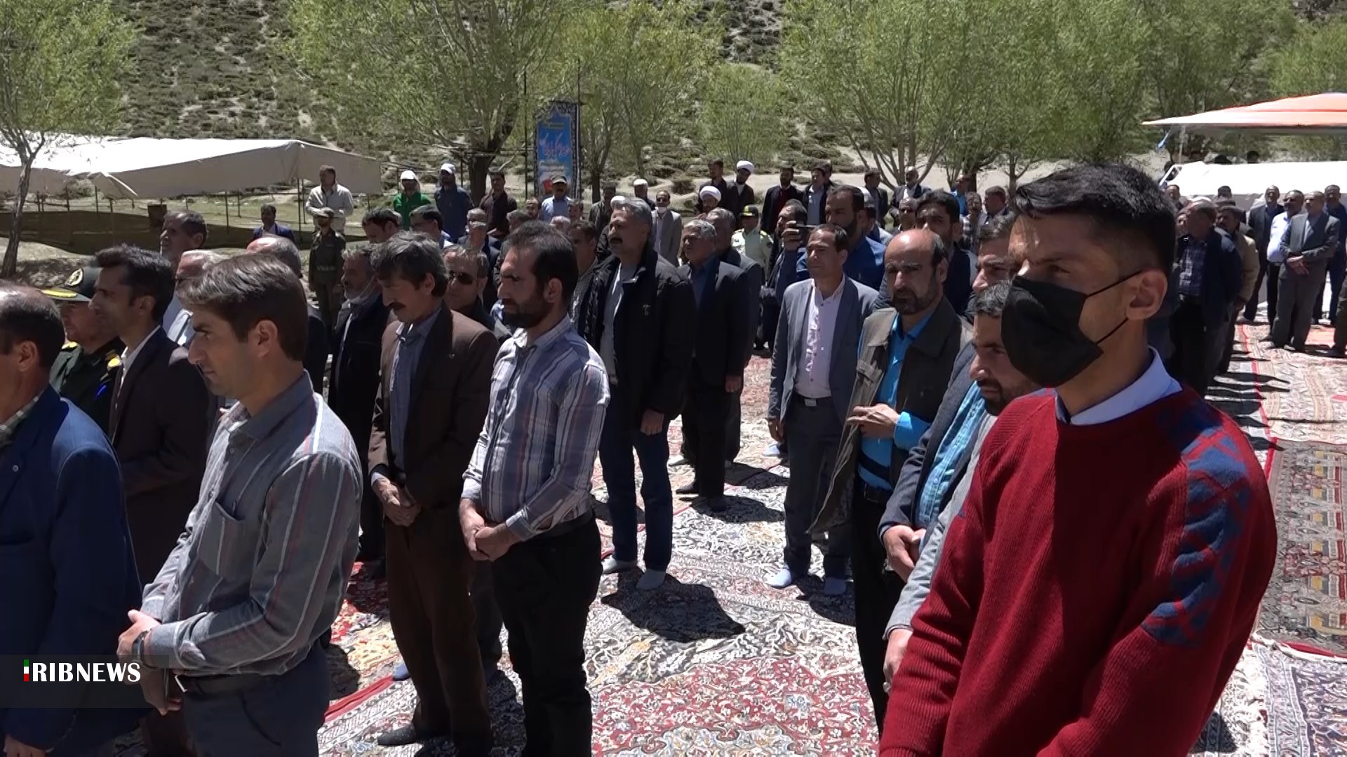 تاکید بر تولید و تکثیر لاله های واژگون درفریدن