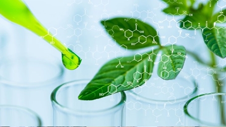 اجرای ۵۰ طرح ملی زیستی برای برقراری امنیت غذایی