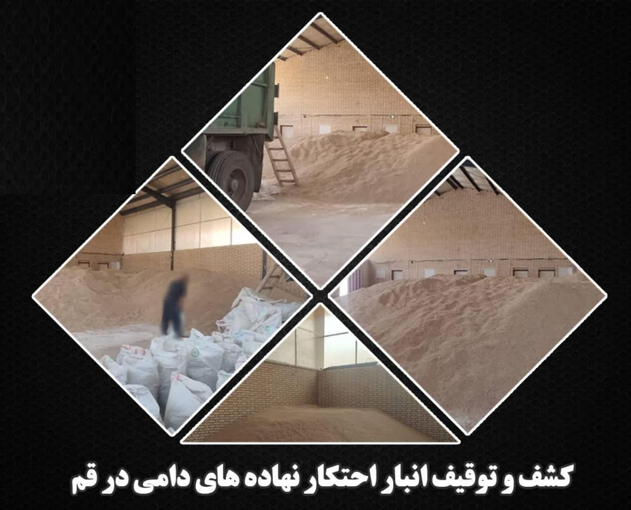 کشف انبار احتکار نهادههای دامی و ارزاق عمومی در قم