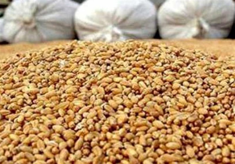 کشف و ضبط ۱۰۳ تن نهادههای دامی در جویبار