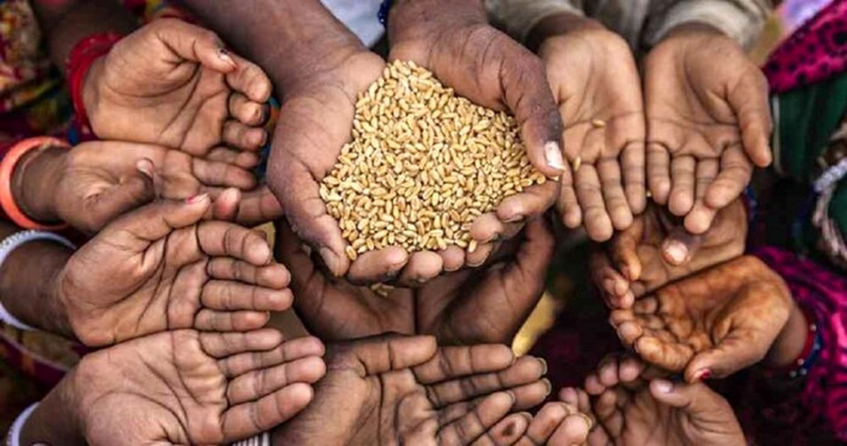 کنوز مدیا: عراق با کمبود شدید گندم مواجه است
