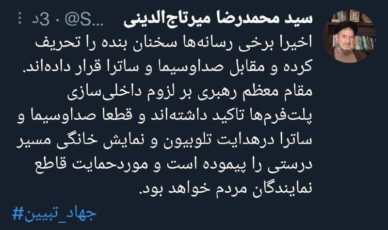 میرتاج‌الدینی: صداوسیما در زمینه داخلی‌سازی پلتفرم‌ها موفق عمل کرده است