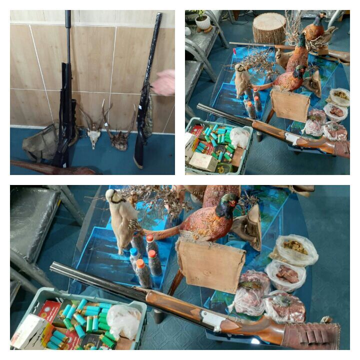 دستگیری متخلفان شکار و صید درآمل و کیاسر