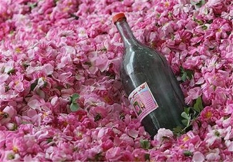 جشنواره گلاب گیری کرج تمدید شد