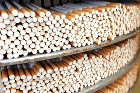 قطع ۶۰۰ میلیون درخت برای تولید سالانه ۶ هزار میلیارد نخ سیگار در جهان