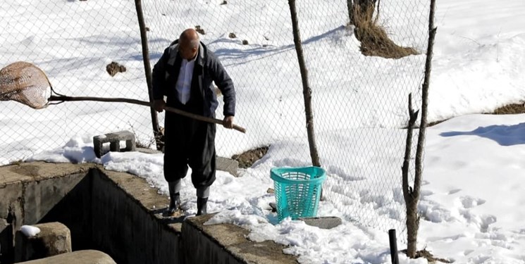 بنیاد برکت حامی کولبران و سوختبران ۷ استان