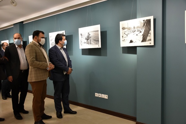 افتتاح «گالری جوان » با حضور رئیس سازمان سینمایی
