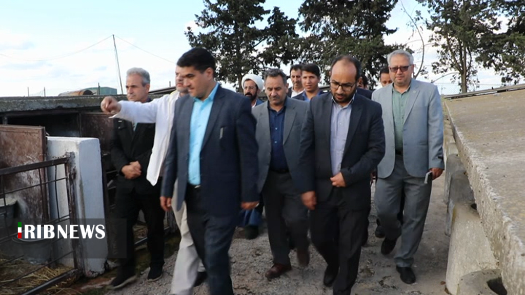 بازدید دادستان مرکز استان از مجموعه کشت و صنعت و دامپروری مغان