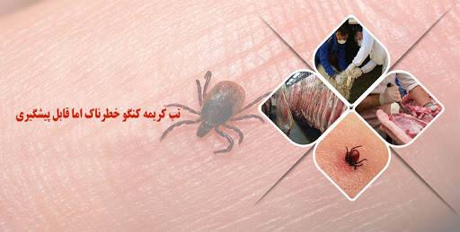 توصیههایی برای پیشگیری از بروز تب کریمه کنگو