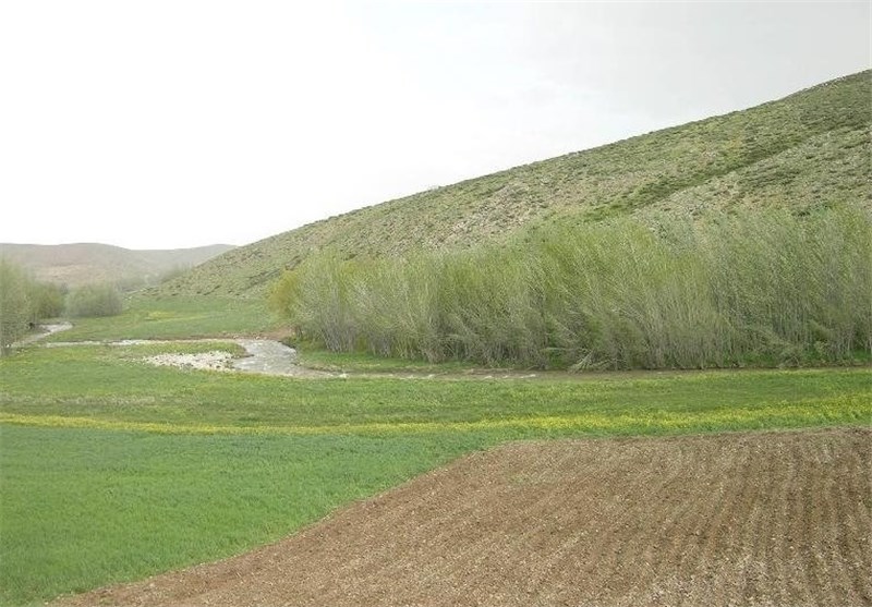 تعیین تکلیف ۱۸ پرونده واگذاری اراضی ملی در کردستان