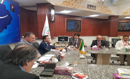 صنعت خودرو و نساجی از زمینههای همکاری مشترک ایران و هند