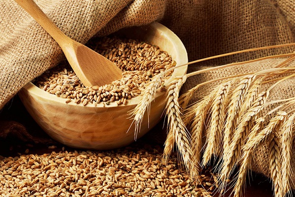 پایان خرید گندم و کلزا در هویزه