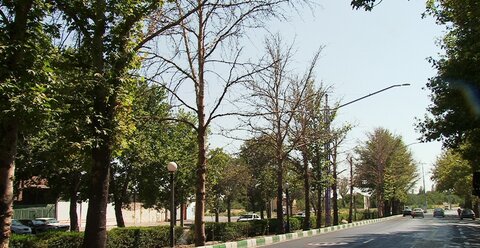 سمپاشی بهاره درختان شهرکرد تاپایان خرداد