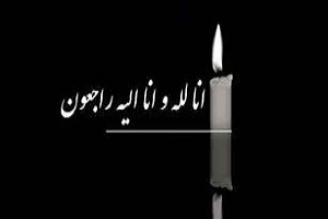 پیام تسلیت نماینده ولیفقیه در امور حج و زیارت در پی حادثه متروپل