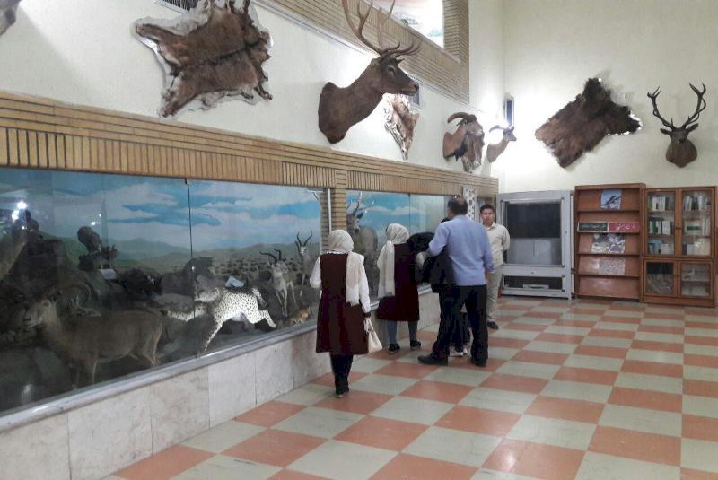 کشف فسیل ۱۰ میلیونساله ردپای آهو