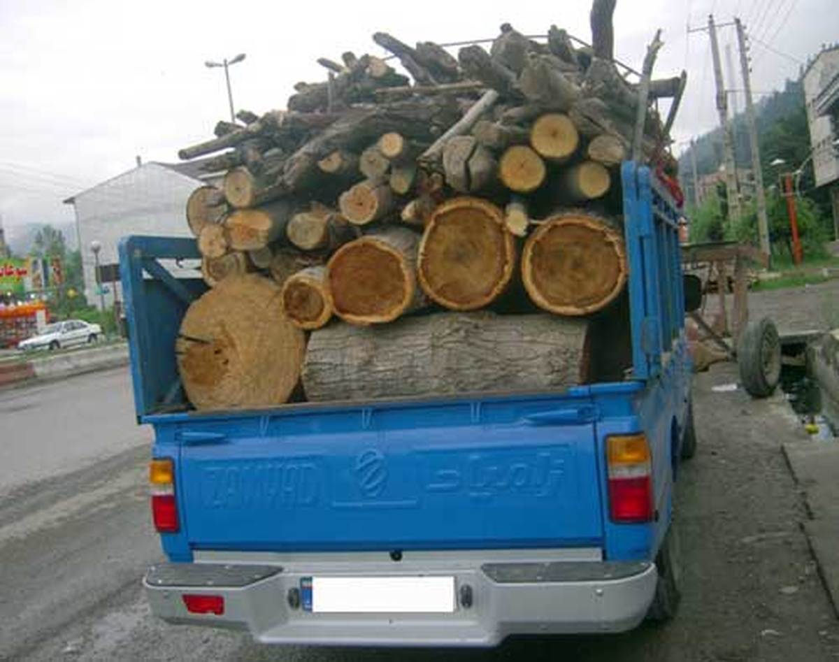 کشف ۳ تن چوب جنگلی قاچاق در بهشهر