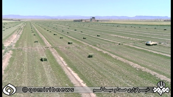 نذر علوفه برای احیای حیات وحش ایران