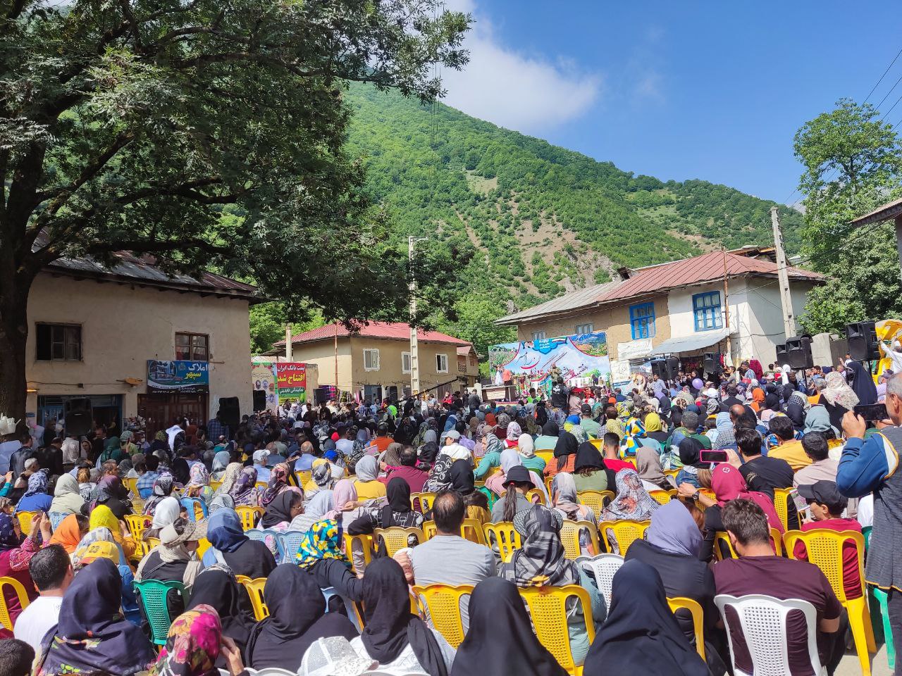 جشنواره ملی گل گاوزبان در مهد گل گاو زبان ایران
