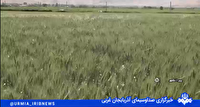 بررسی مشکلات بخش کشاورزی پیرانشهر