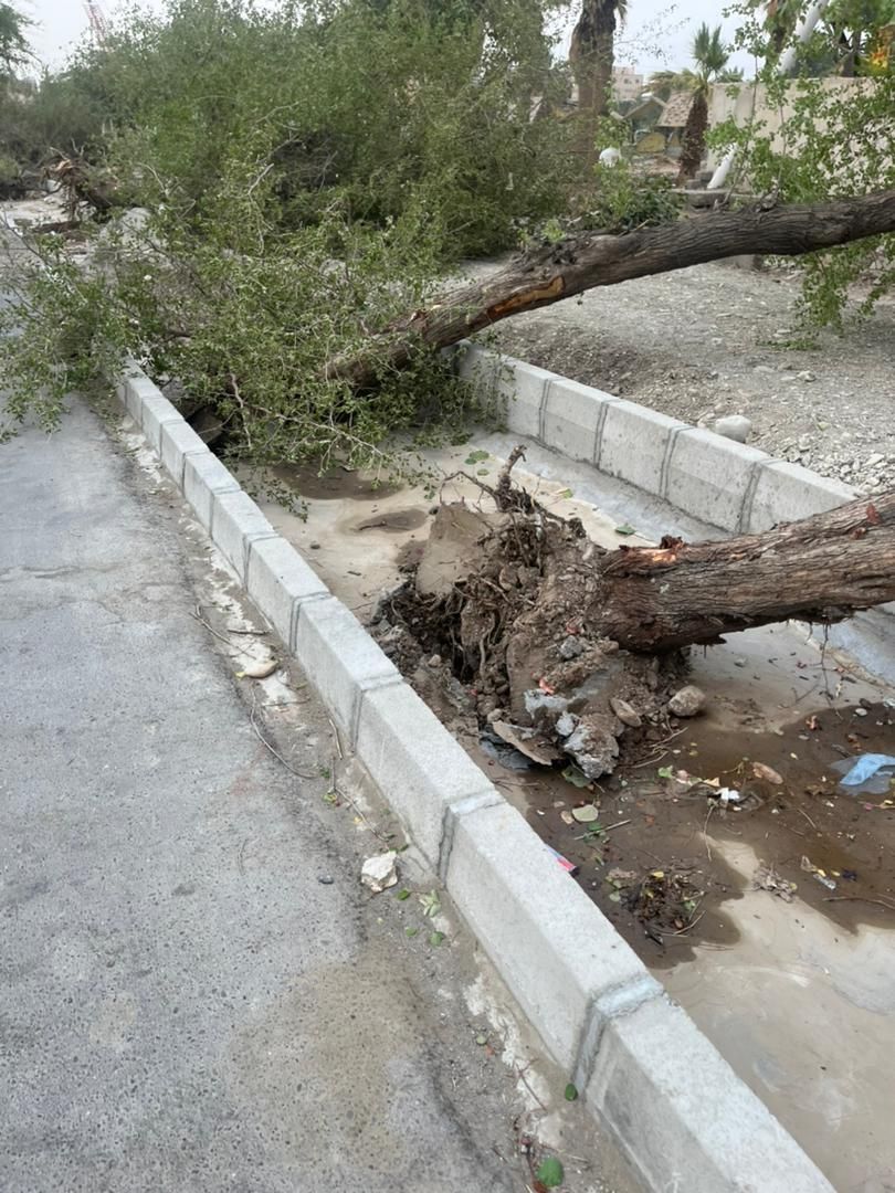 طوفان همراه با گردو خاک ایرانشهر را درنوردید