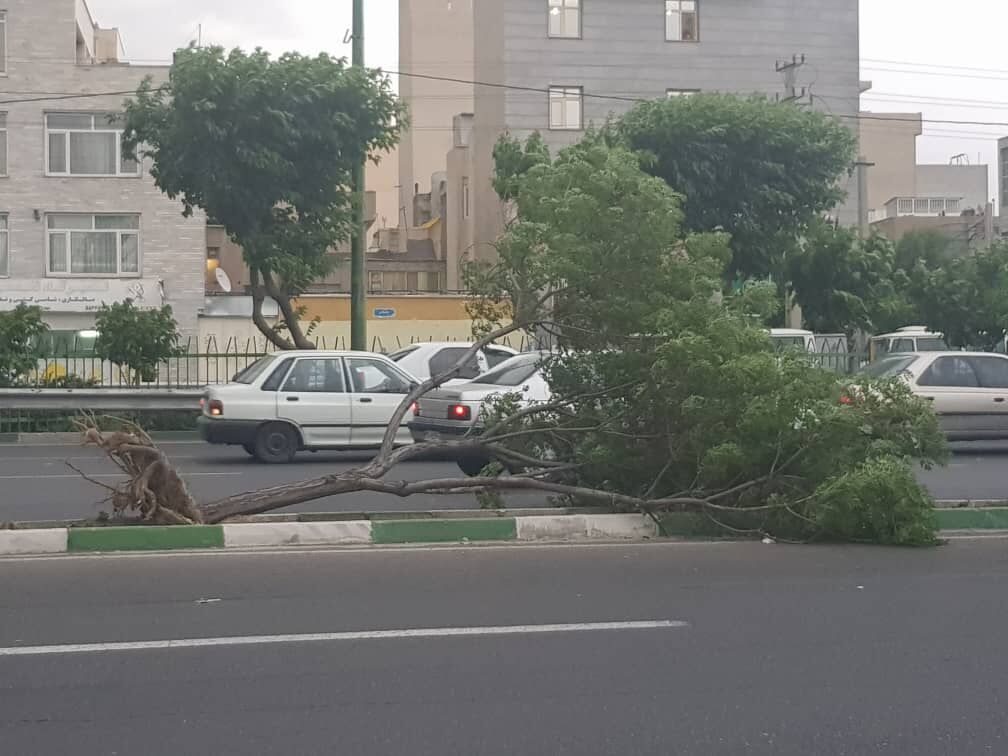 تند باد در راه استان مرکزی