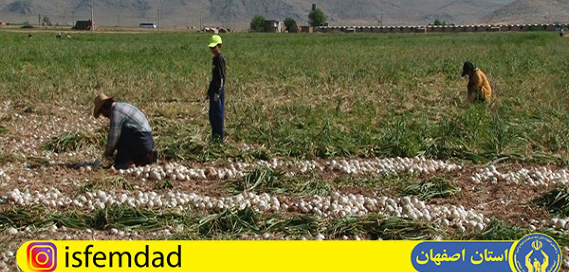 حمایت از ایجاد دو هزار و ۸۵۸ طرح اشتغالزایی مددجویی در حوزه کشاورزی