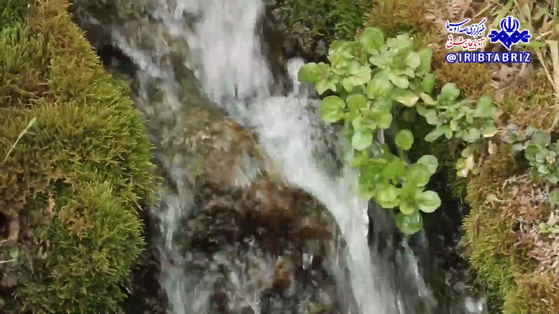 قَرِه کَند صِدقی، روستایی با چشمه‌ها جوشان در مراغه