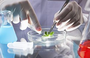 دستیابی محققان پژوهشگاه بیوتکنولوژی به ۱۱ فناوری جدید