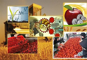 صدور پروانه بهرهبرداری ۱۱ واحد صنایع تبدیلی در خراسان شمالی