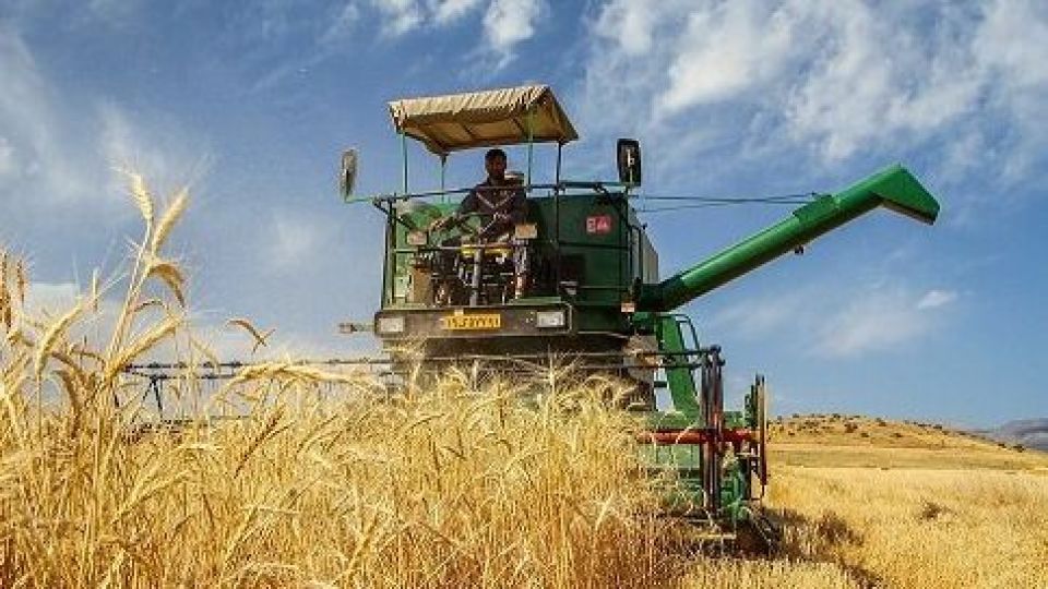 معرفی احتکار کنندگان گندم در قزوین به تعزیرات