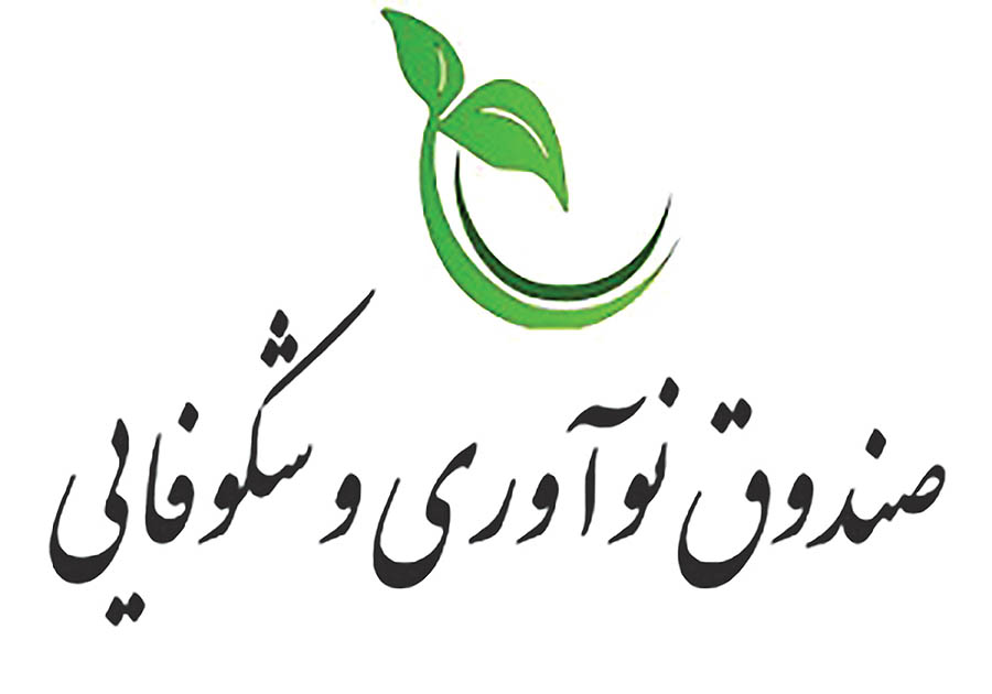 طراحی بسته حمایتی صندوق نوآوری از شرکت‌های دانش‌بنیان نوع سه
