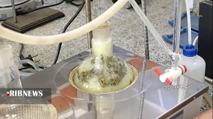 تولید سم آفت کش گیاهی توسط محقق لرستانی