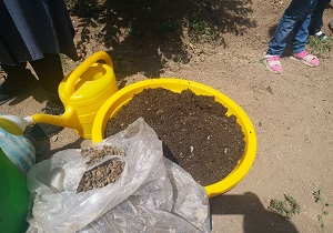 تولید کود کمپوست توسط زنان روستایی برای تولید محصول ارگانیک