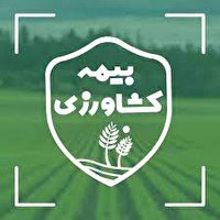 پوشش بیمهای ۱۳۶ هزار هکتاراز اراضی کشاورزی