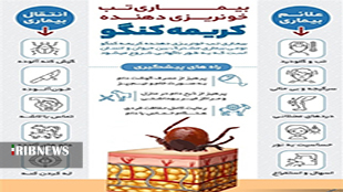 نظارت بر کشتارگاههای لرستان به منظور پیشگیری از تب کریمه