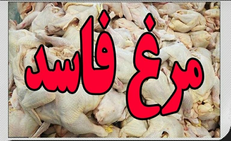 کشف بیش از نیم تن مرغ فاسد و تاریخ گذشته در ایرانشهر