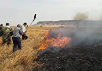 تسهیل مدیریت بحران تالاب ها با آموزش جوامع محلی