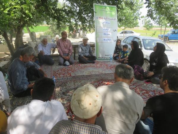 کاهش حدود ۸۰ درصدی مصرف آب در شالیکاری با روش خشکه کاری