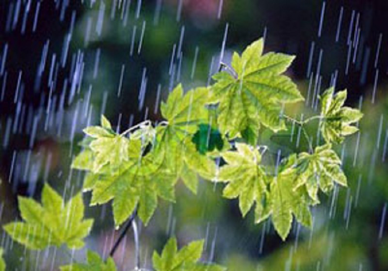 هوای مازندران هفته آینده بارانی و خُنک