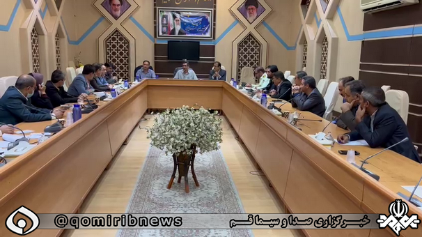 ضرب‌الاجل یک هفته‌ای فرماندار قم برای مدیریت سگ‌های ولگرد