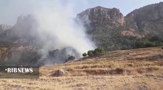 مهار آتش سوزی در ده باغ روستای دهنو ممسنی